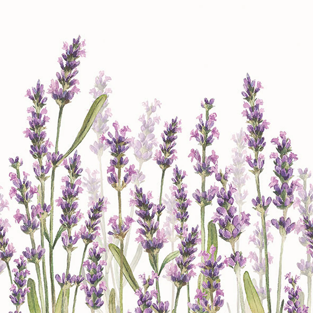 Ambiente Lavender Shades Watercolour Paper Napkins | White, Pack of 20
