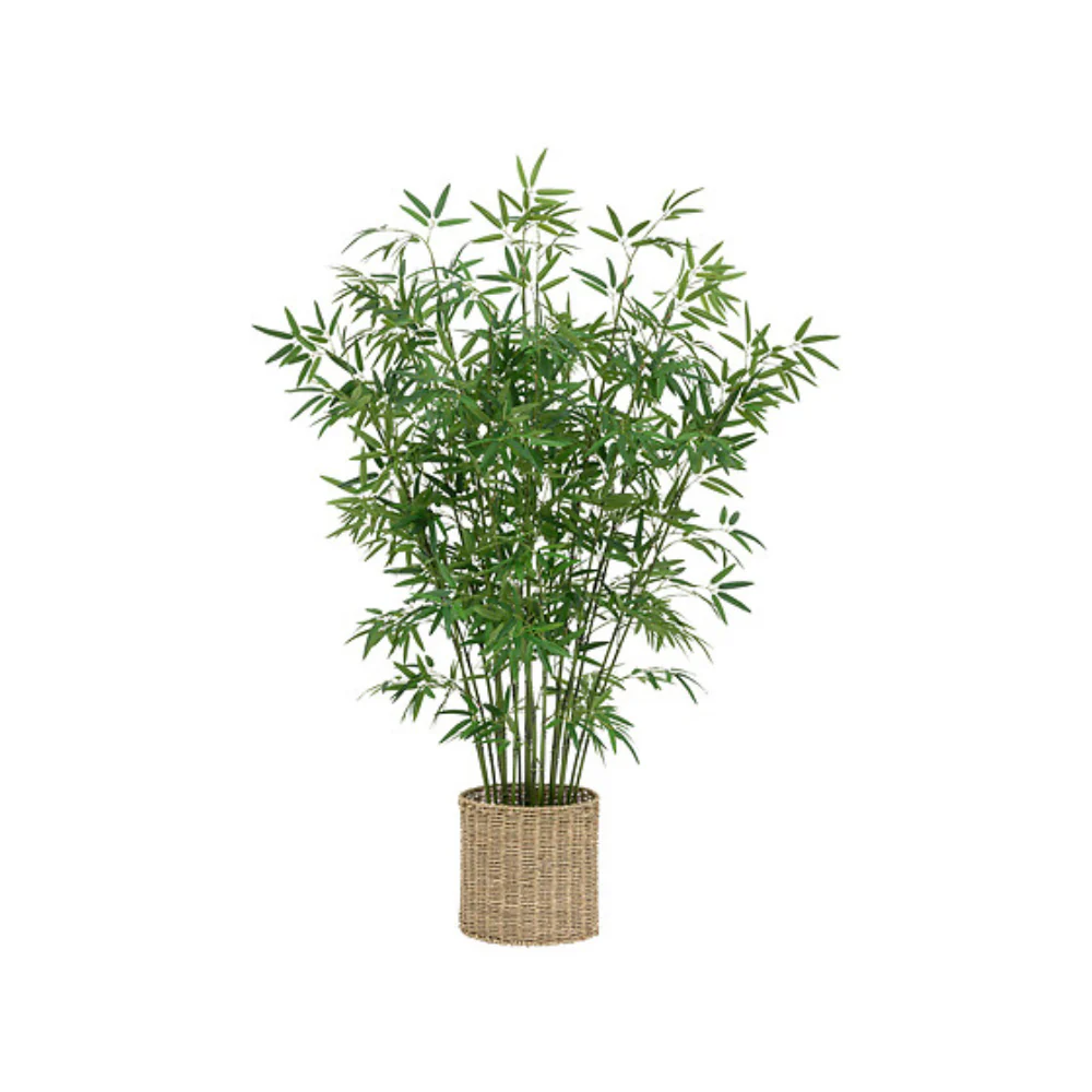 Atmosphera Bamboo Floor Plant | 150 cm, Green Foliage, Basket Planter