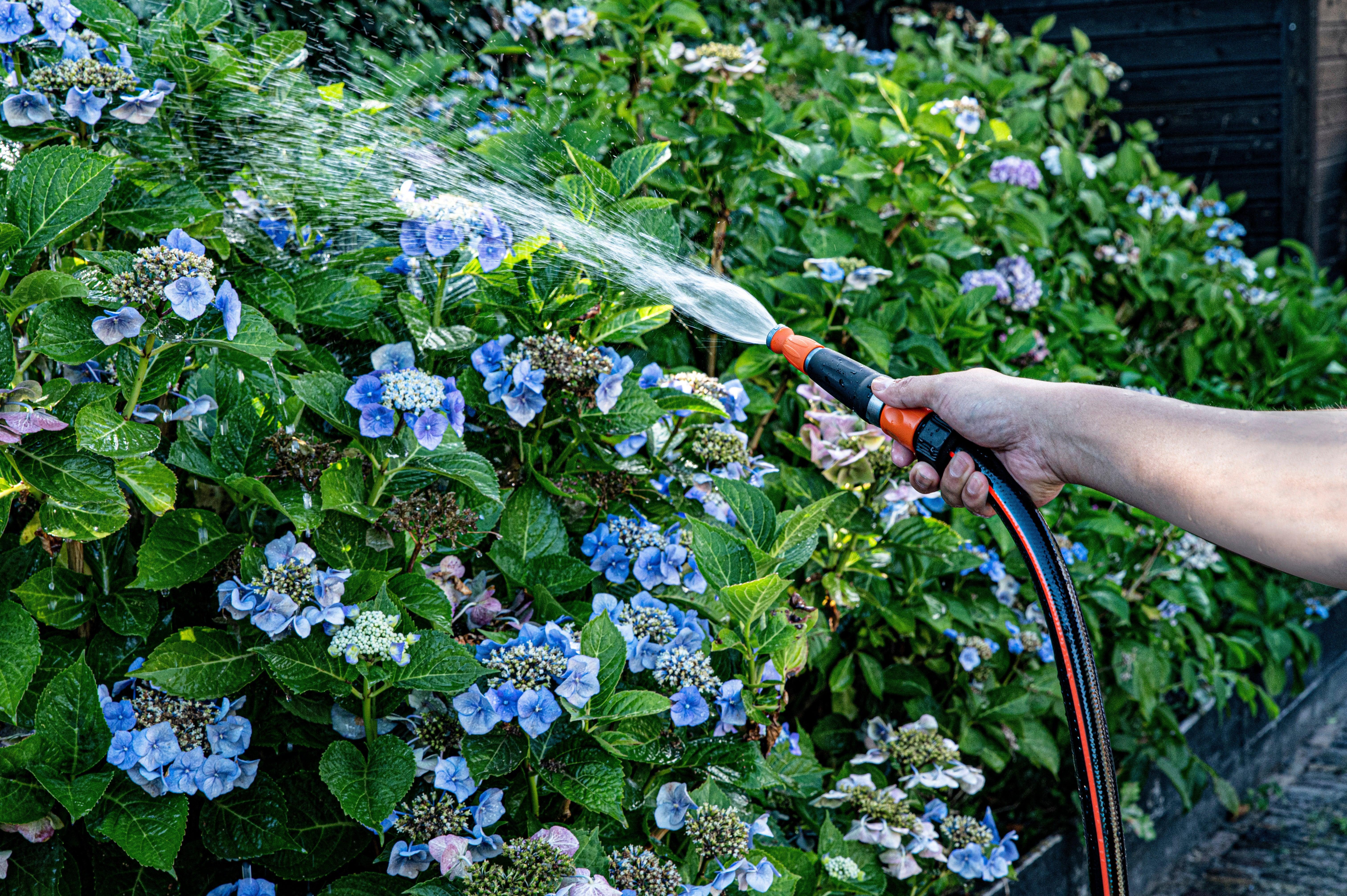 Black + Decker Adjustable Spray Nozzle - Image 6