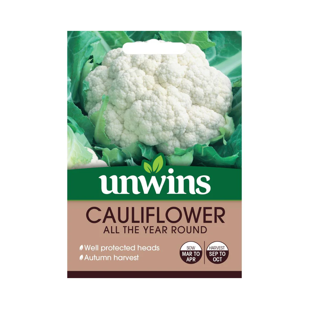 Cauliflower All The Year Round Vegetable Garden Seeds