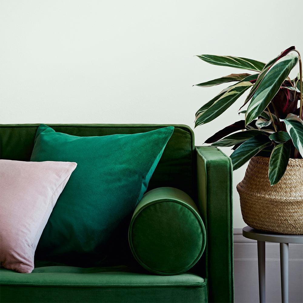 Crown Easyclean Matt Emulsion Paint | Botanical Extract - Image 6