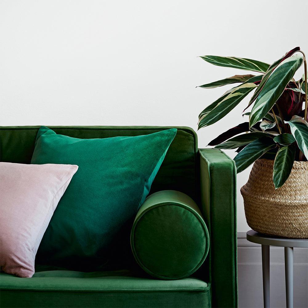 Crown Easyclean Matt Emulsion Paint | Chalky White - Image 4