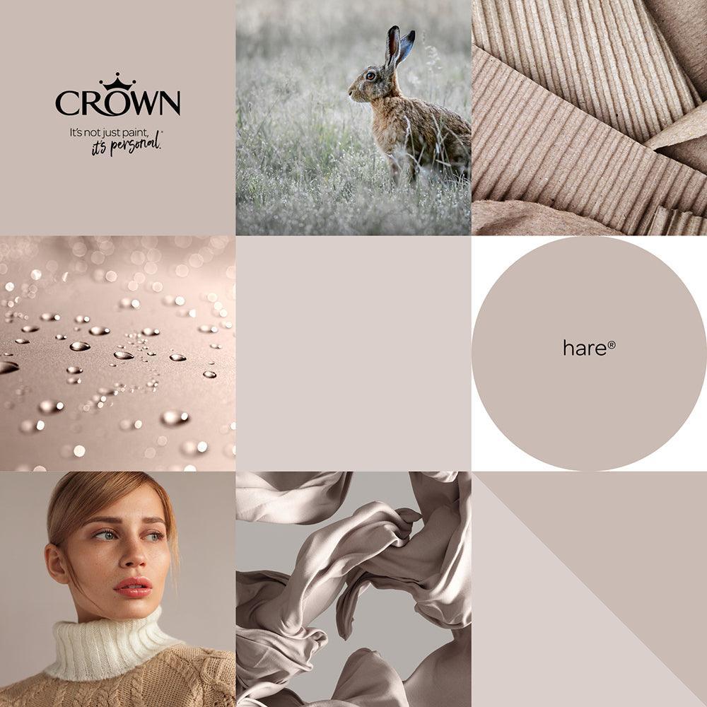 Crown Walls & Ceilings Matt Emulsion Paint | Hare | 40ml Tester - Image 6