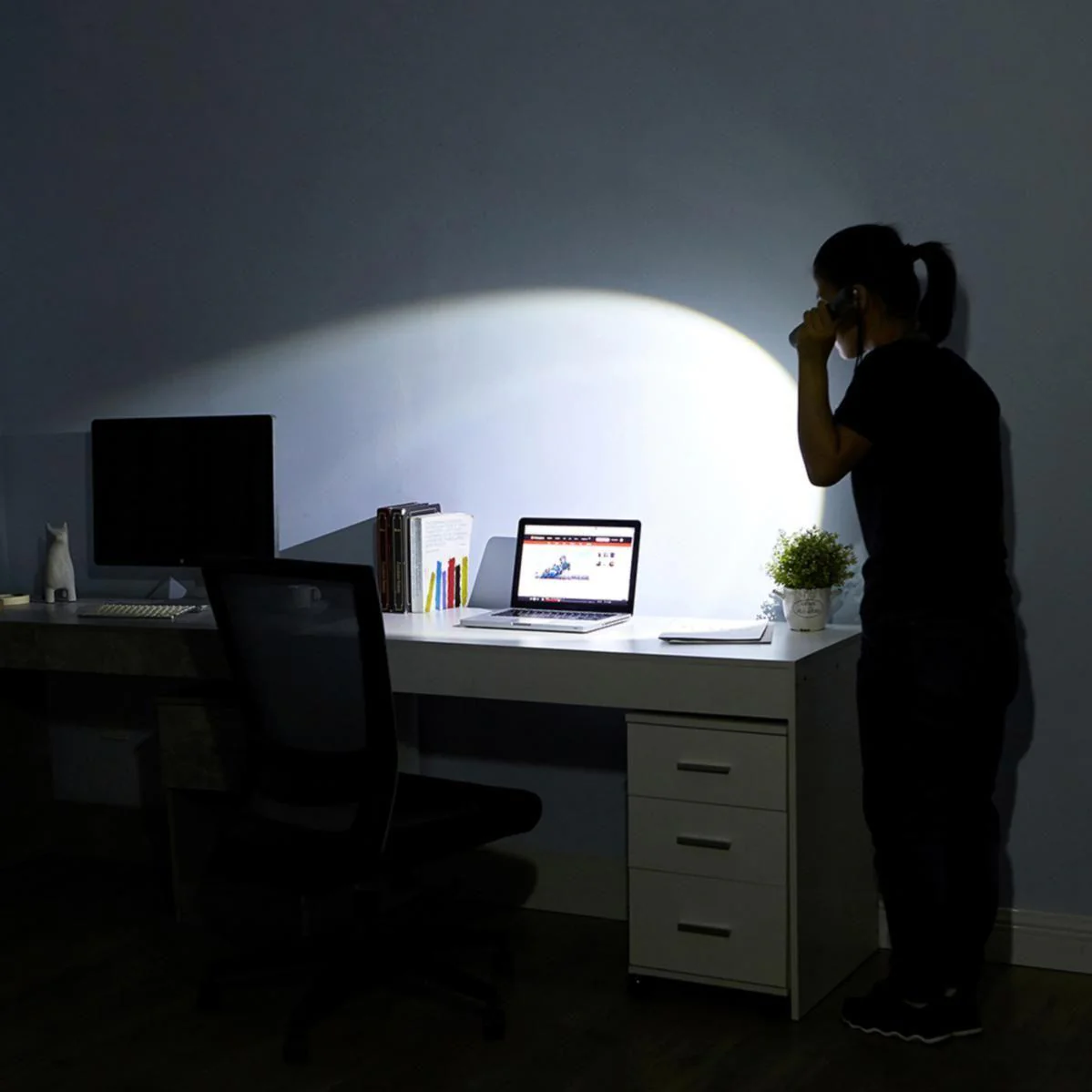 Dekton Pro Light Heavy Duty Explorer - Image 7