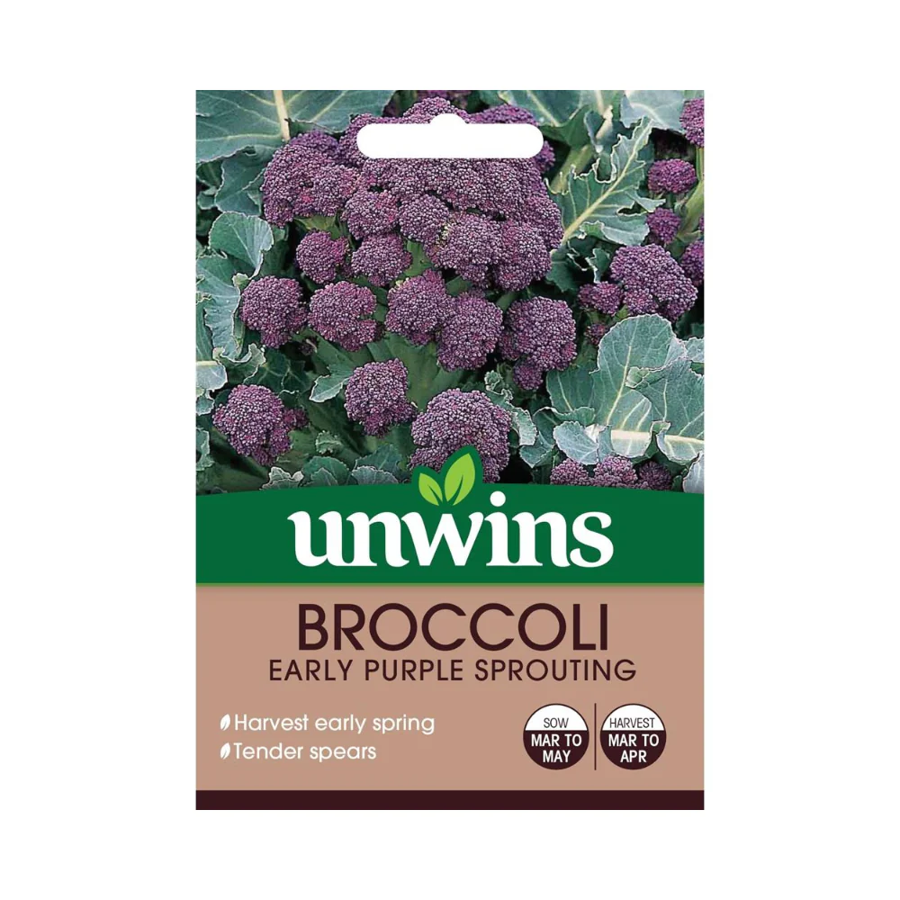 Early Purple Sprouting Broccoli Vegetable Seeds