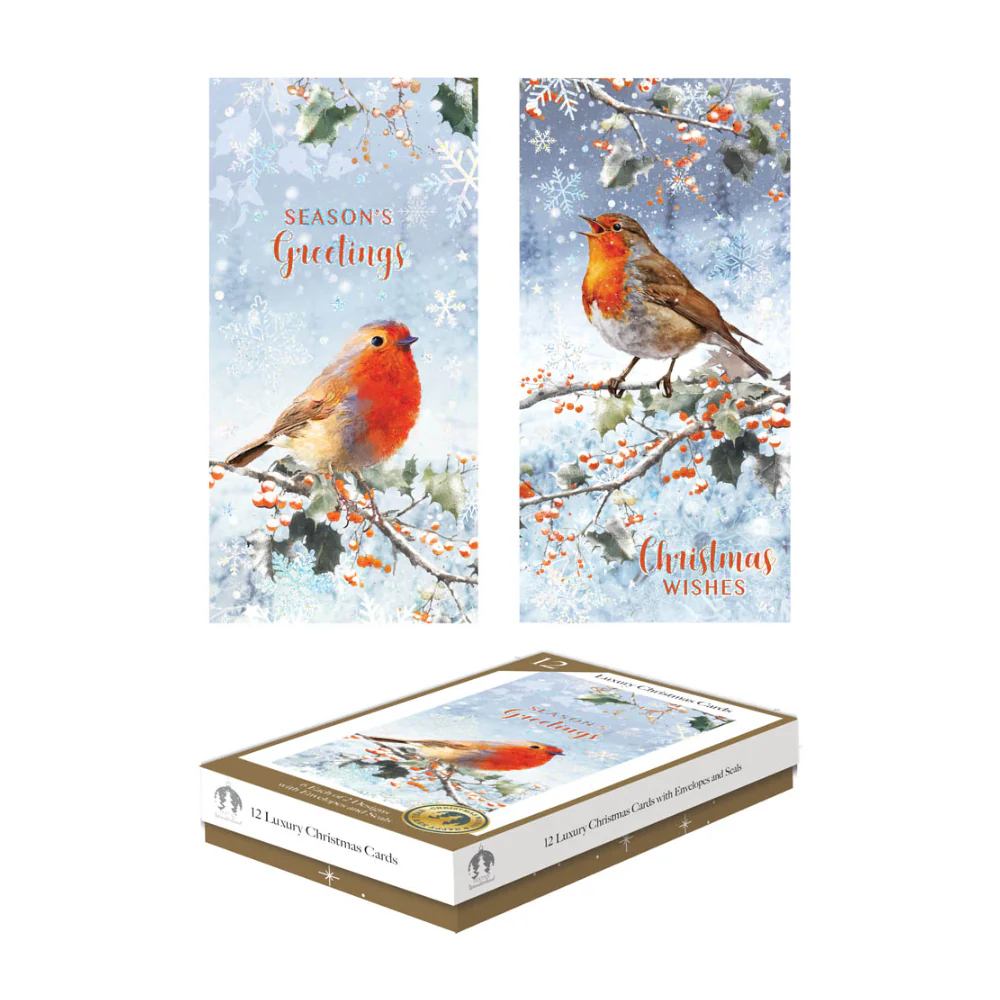 Festive Wonderland Luxury Christmas Cards | Pack of 12, Assorted Robin Designs