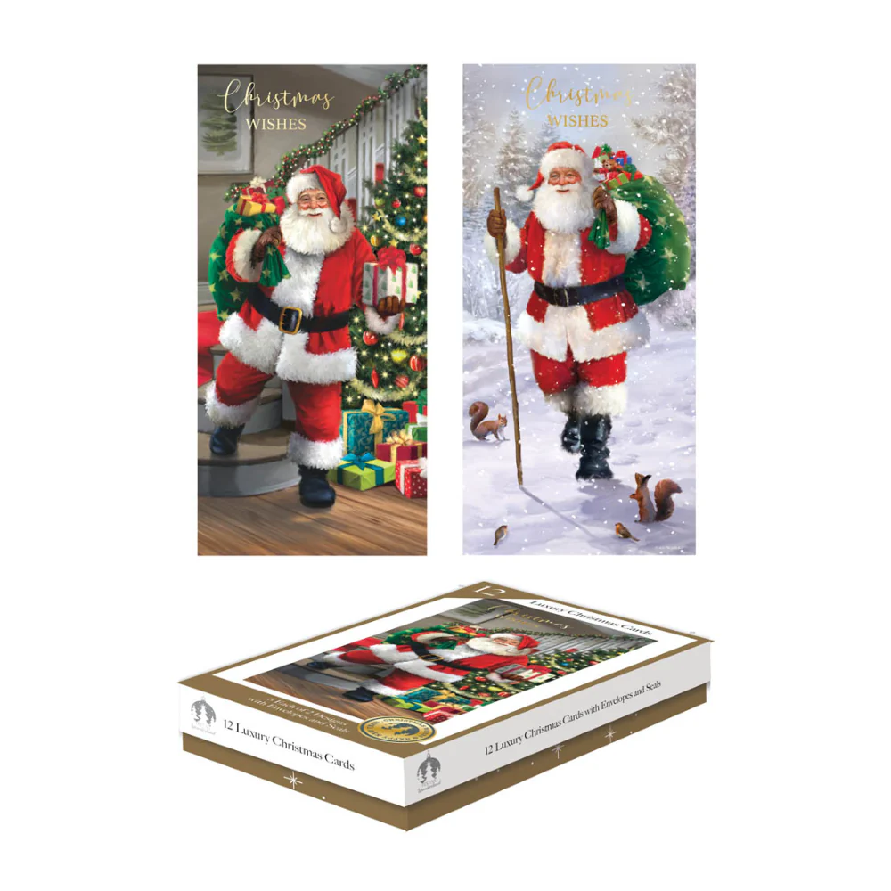 Festive Wonderland Luxury Christmas Cards | Pack of 12, Assorted Santa