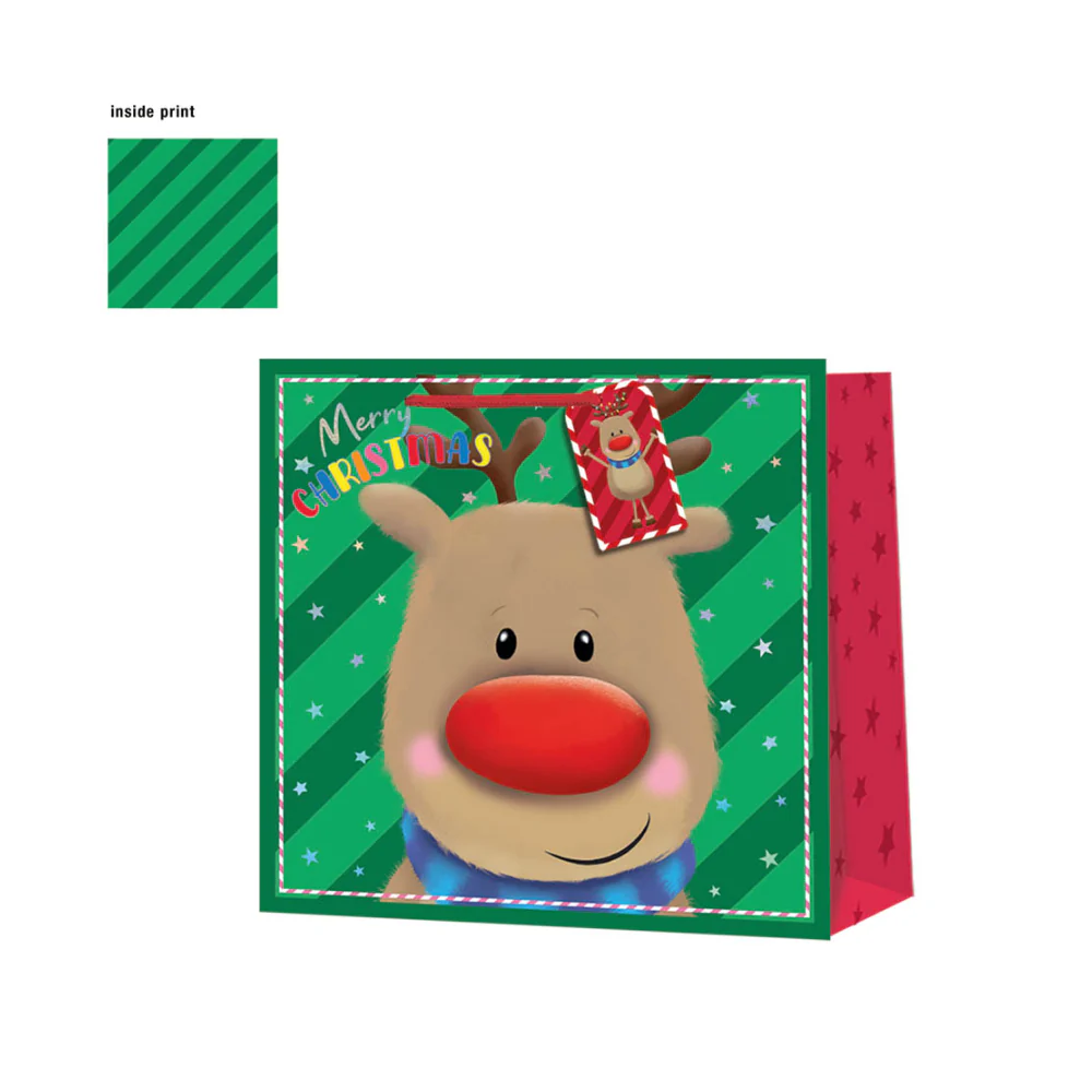 Festive Wonderland Rudolph Giant Square Gift Bag | Merry Christmas
