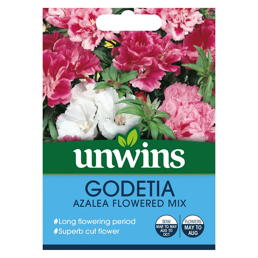 Godetia Azalea Flowered Mix Garden Flower Seeds