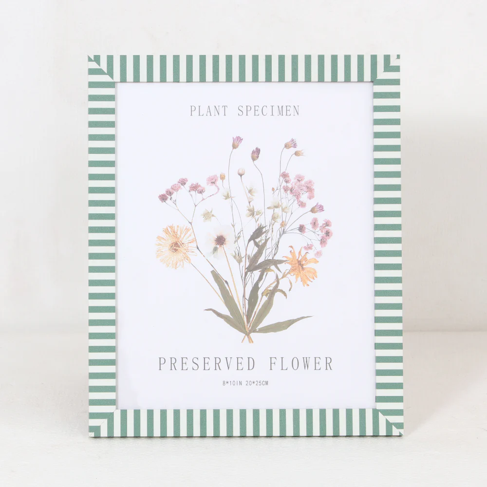 Green Stripe Preserved Flower Specimen Wall Frame | 8 x 10 inch
