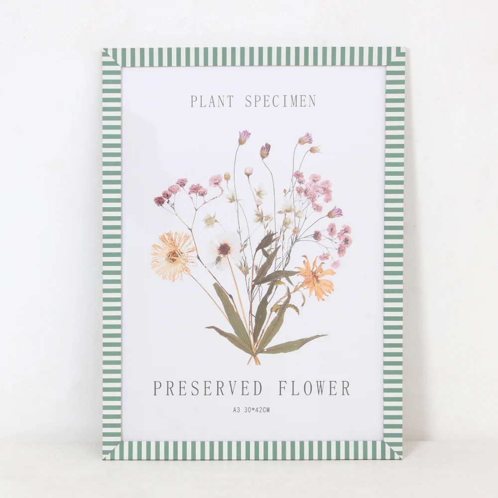 Green Stripe Preserved Flower Wall Art Frame | A3, Plant Specimen