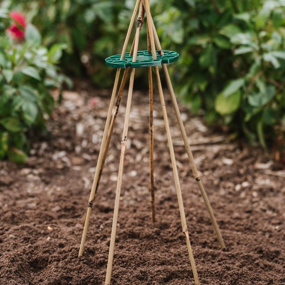 Grow It Bamboo Canes Bulk Bundle 60cm | Pack of 20 - Image 3