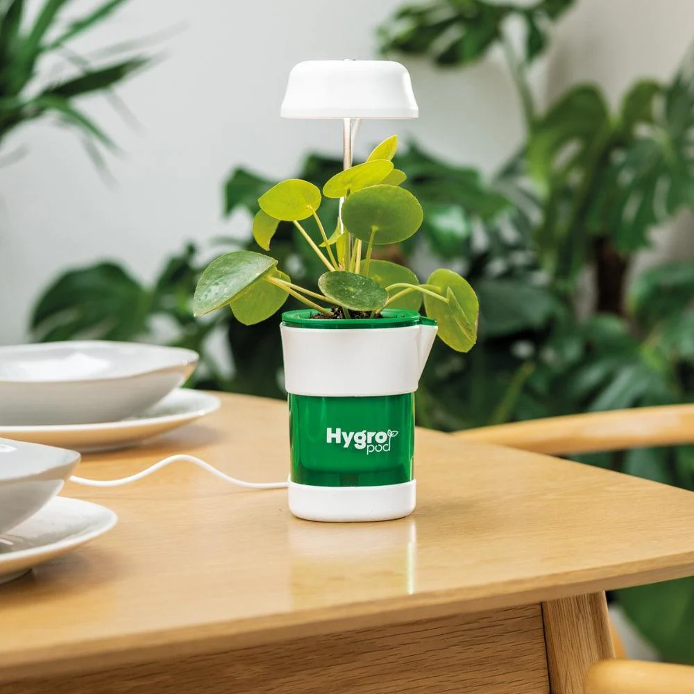 JML HygroPod Indoor Self-Watering Plant Pot | With LED Lights