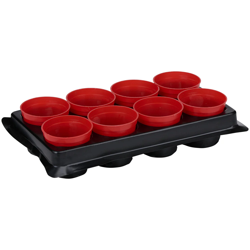 Kinzo Seed Planter Tray | Pack of 8 | Dia 6cm - Image 2