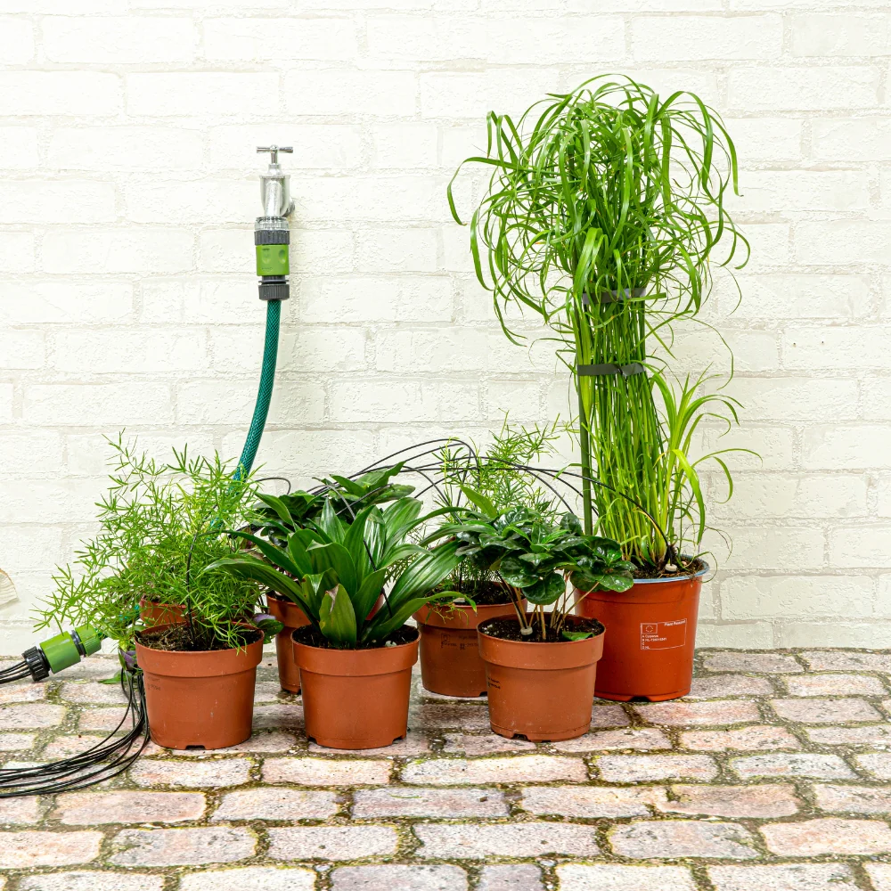 Kinzo Watering Drip Kit | 10 Pieces Heads - Image 3
