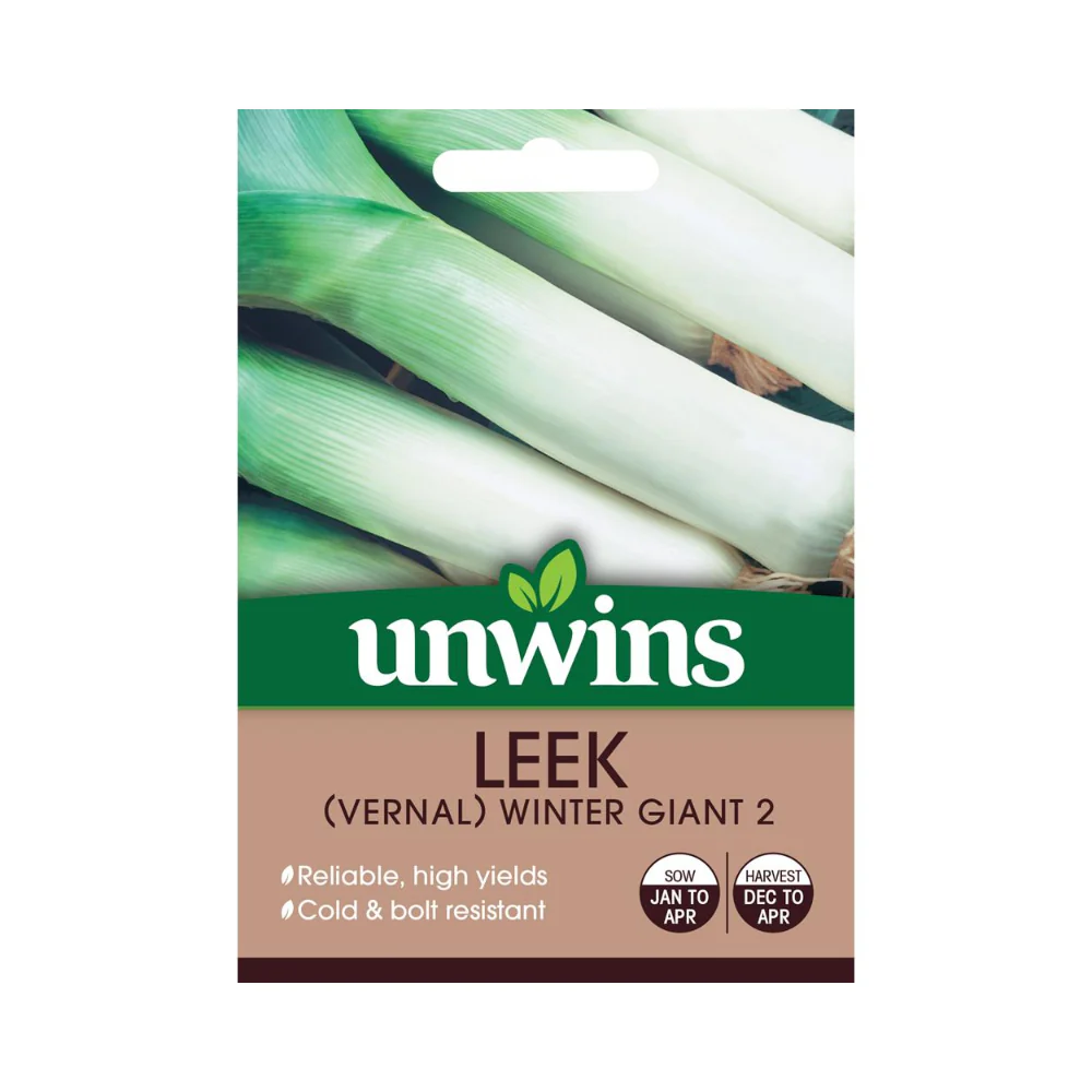 Leek Vernal Winter Giant 2 Vegetable Seeds