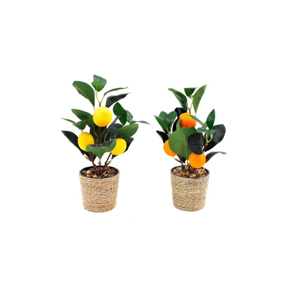 Lemon and Orange Tree | 29cm