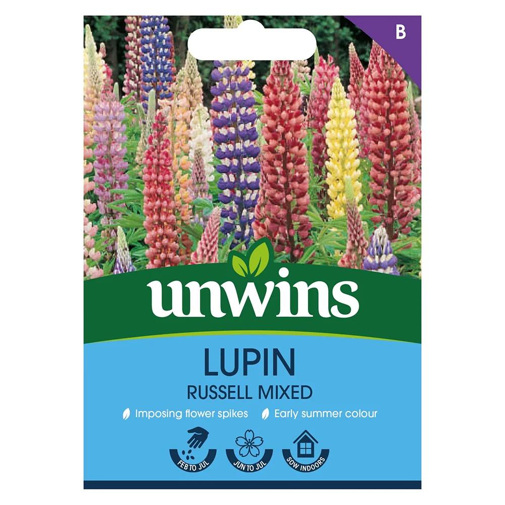 Lupin Russell Mix Flower Seeds