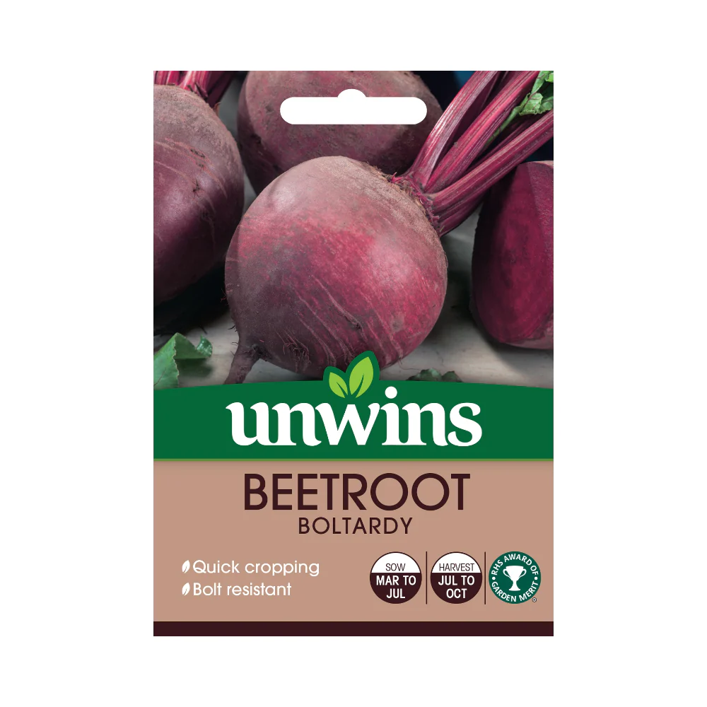 Round Boltardy Beetroot