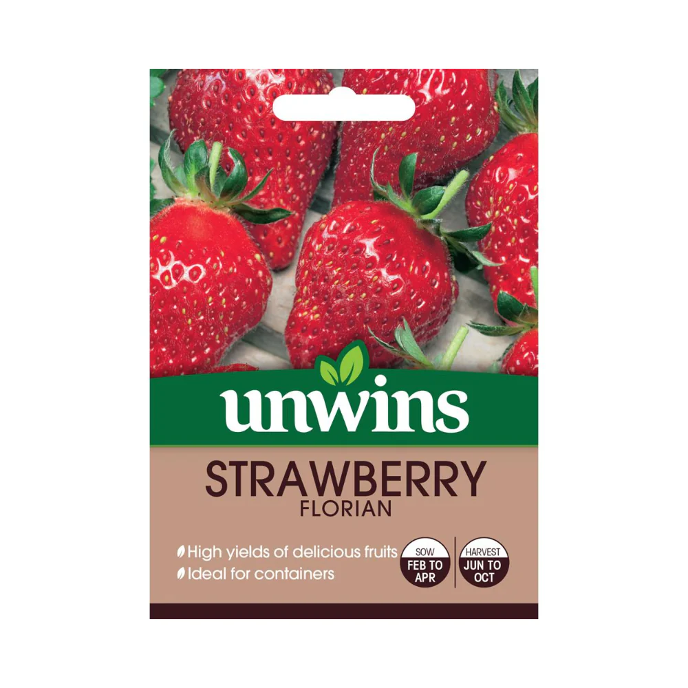 Strawberry Florian Seeds