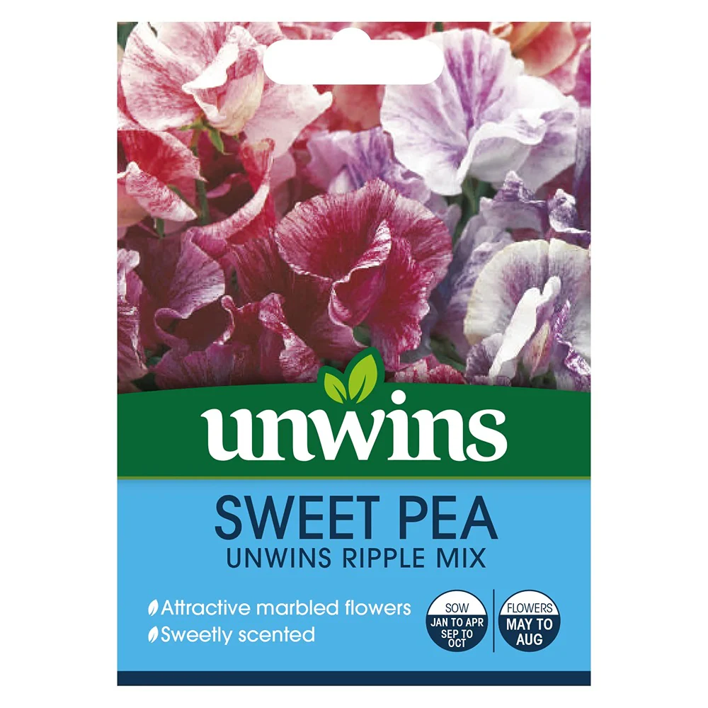 Sweet Pea Unwins Ripple Mix Flower Seeds