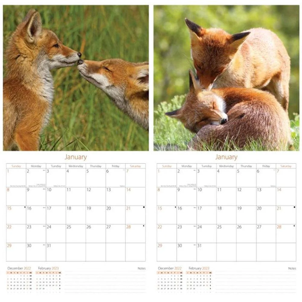 Tallon Square Calendar | Assorted Animals Cute & Fluffy - Image 3