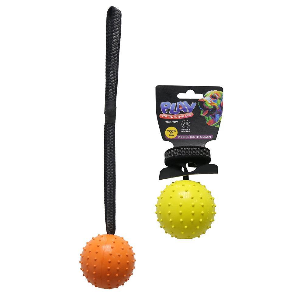 Pet Fetch & Tug Ball | 2 Assorted
