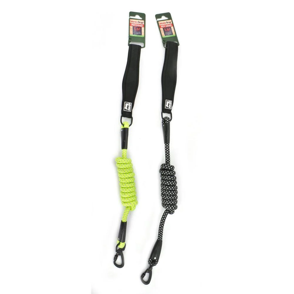 Pet Lead With Carabiner 2 Assorted | 1.6m