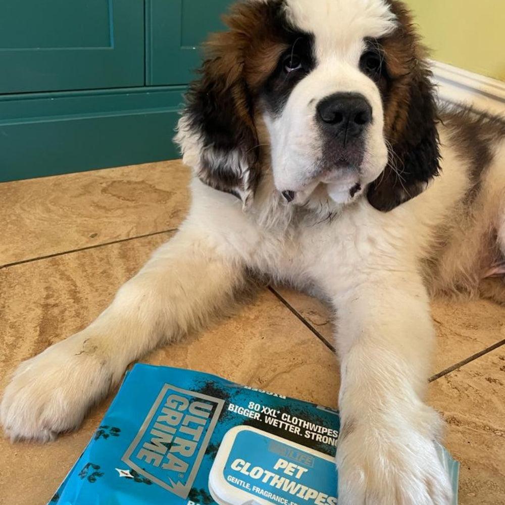 Ultragrime XXL+ Eco-Friendly Pet Care Clothwipes | Pack of 40 - Image 6
