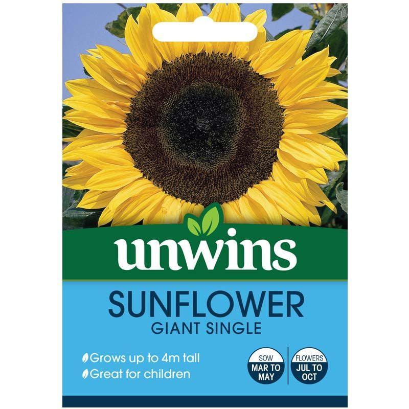 Unwins Beautiful Blooms Sunflower Giant Single