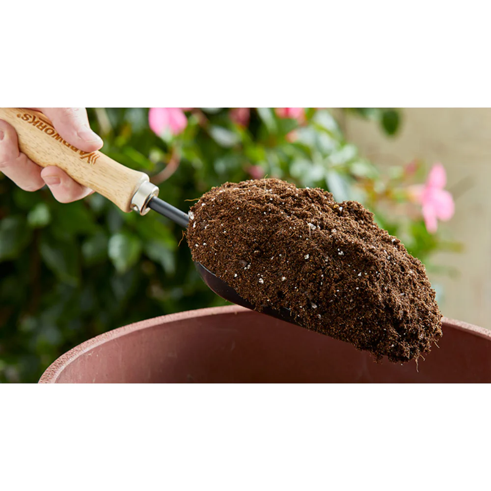 Westland Bulb Planting & Potting Peat Free Mix | 10 Litres, Zinc Enriched - Image 4