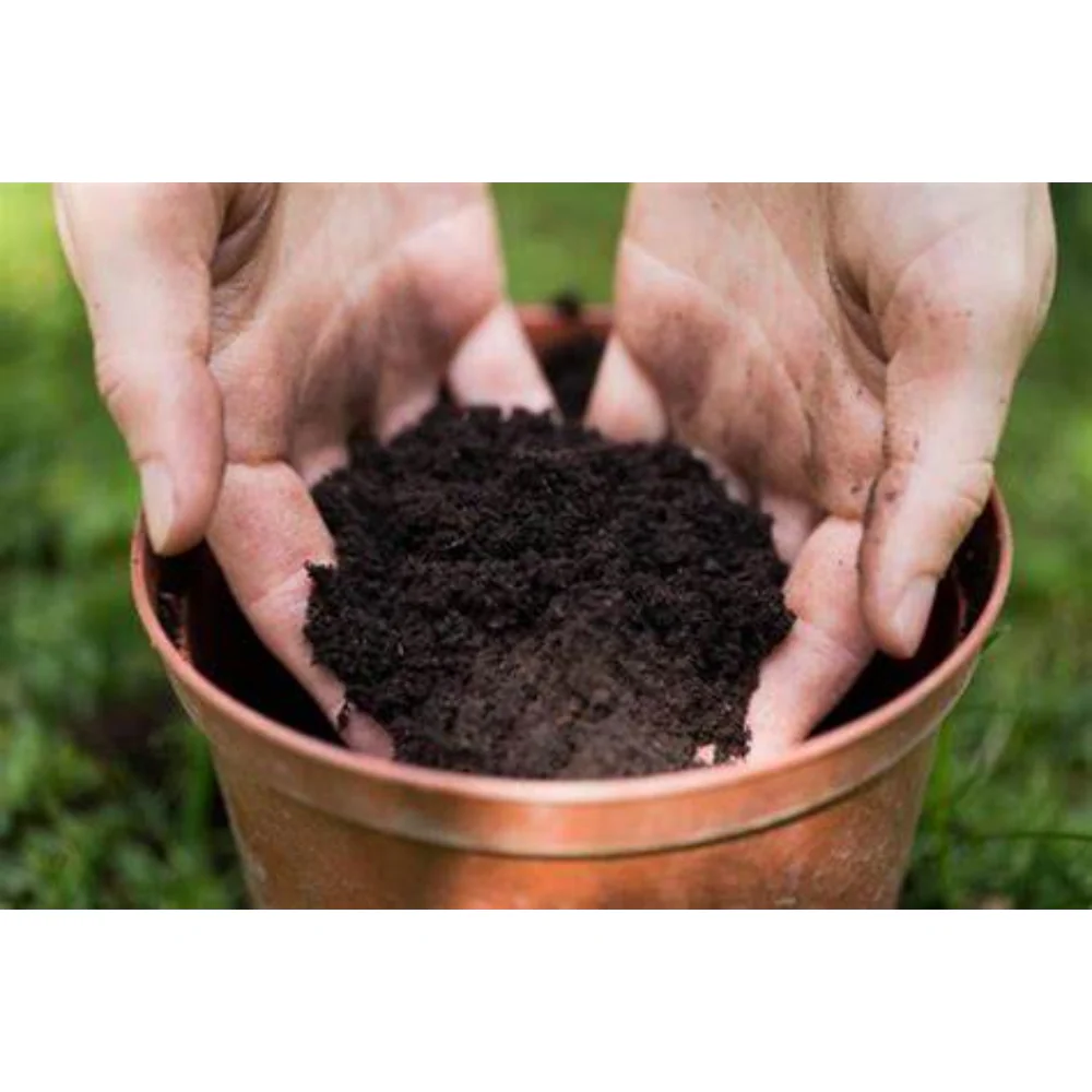 Westland Bulb Planting & Potting Peat Free Mix | 10 Litres, Zinc Enriched - Image 5