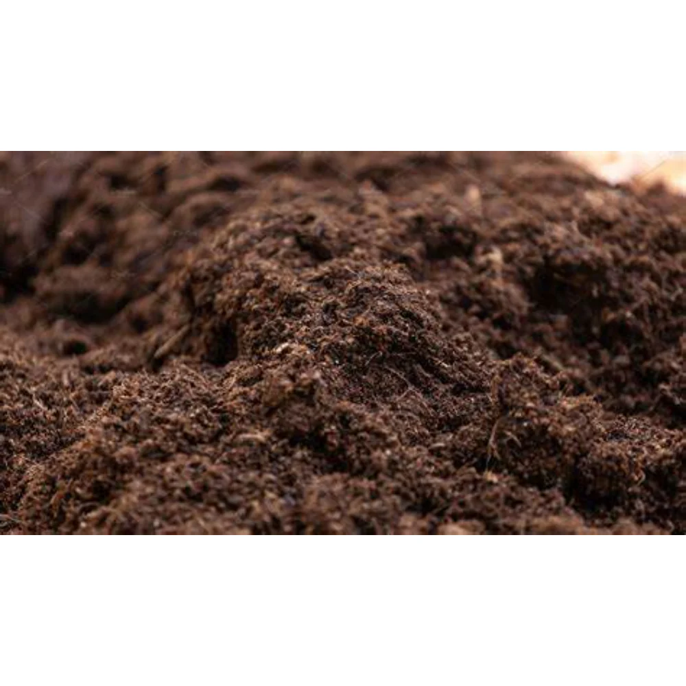Westland Bulb Planting & Potting Peat Free Mix | 10 Litres, Zinc Enriched - Image 7