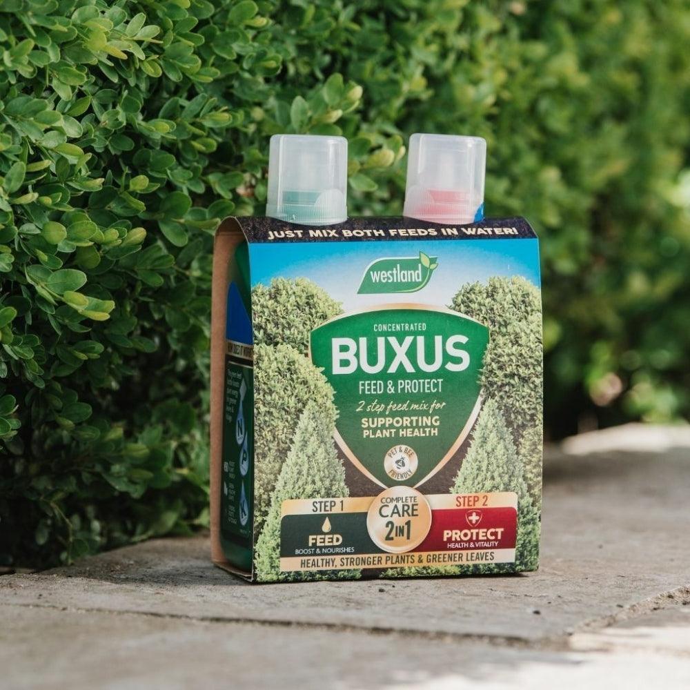 Westland Buxus Feed & Protect 2in1 | 2x500ml - Image 2