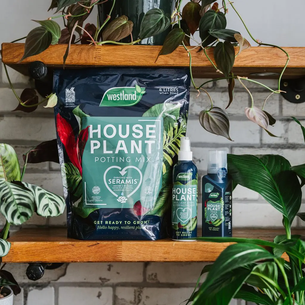 Westland Houseplant Potting Mix | Peat-Free 4L | Enhanced with Seramis - Image 4