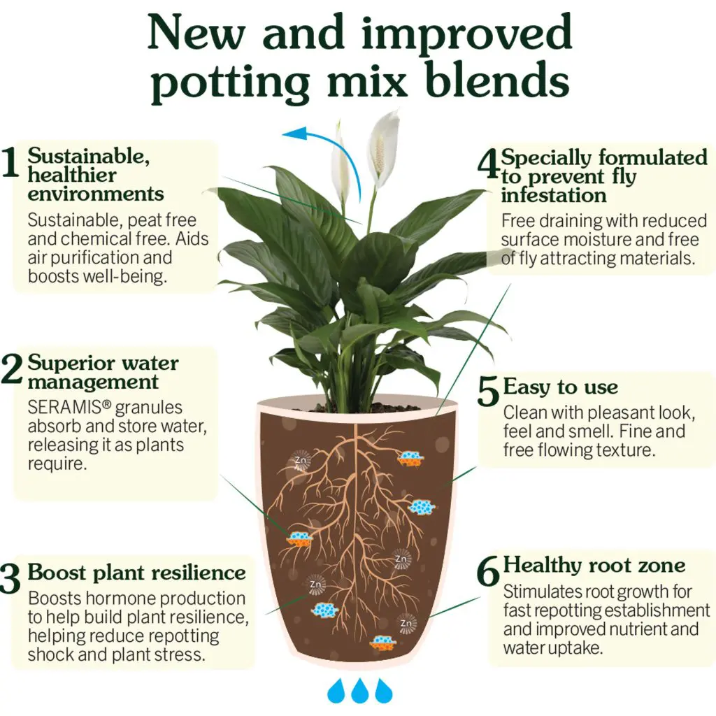 Westland Houseplant Potting Mix | Peat-Free 4L | Enhanced with Seramis - Image 5