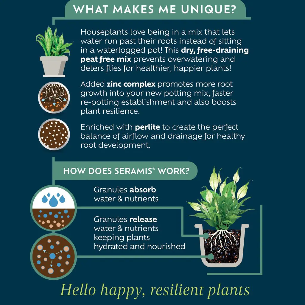 Westland Houseplant Potting Mix | Peat-Free 4L | Enhanced with Seramis - Image 6