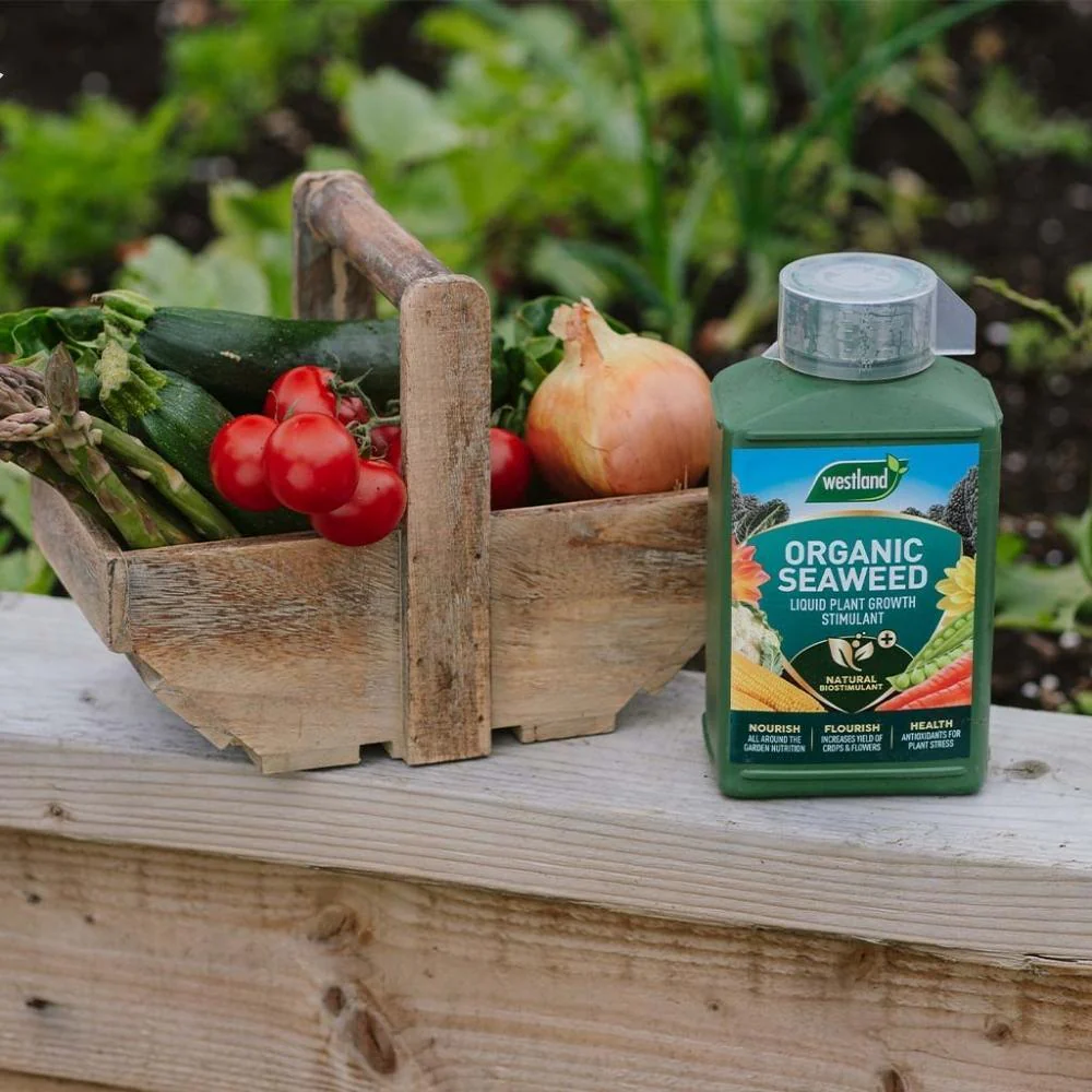 Westland Organic Seaweed Liquid Plant Food | 1L - Image 3