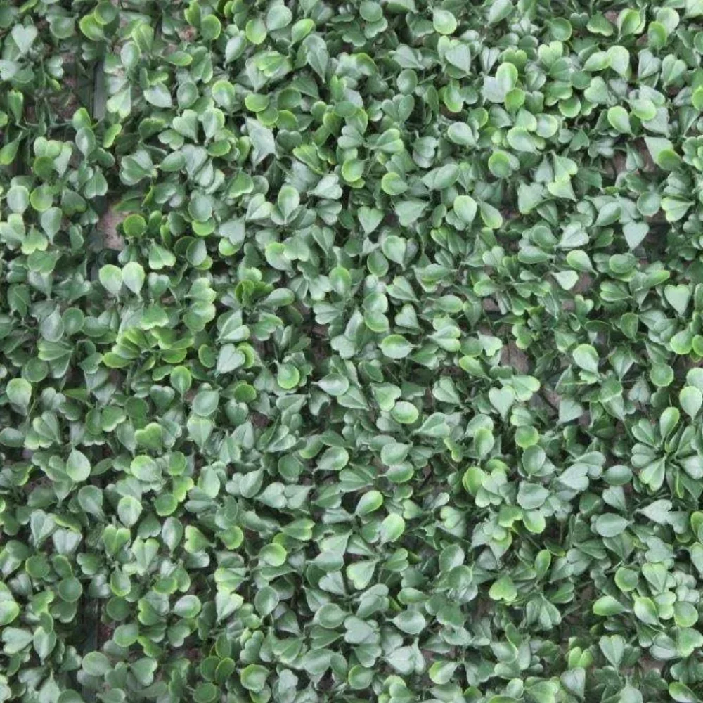 WonderWal Expandable Trellis Buxus Wall Cover | 100 x 100cm - Image 3